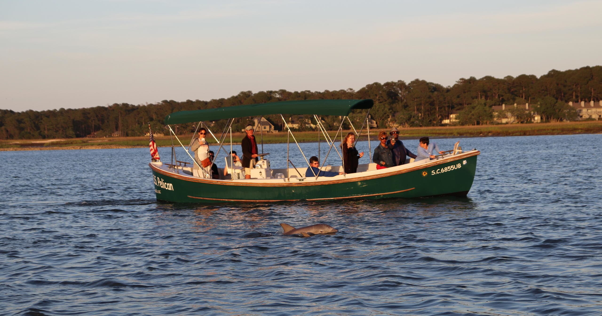 Private Dolphin Charter on SS Pelican | Dolphin and Nature Tours