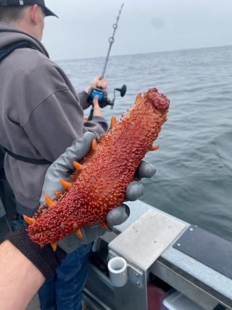 Water Activities & Fish On Charter Services: Deep Water Rock Fishing Adventure