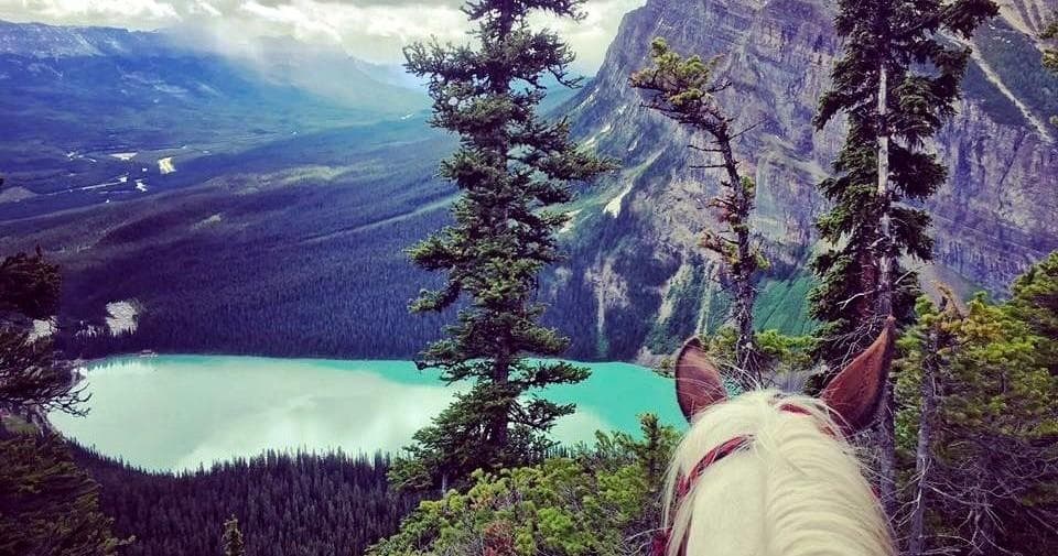 Timberline Tours' 4-Hour Little Beehive Trail Ride in Lake Louise