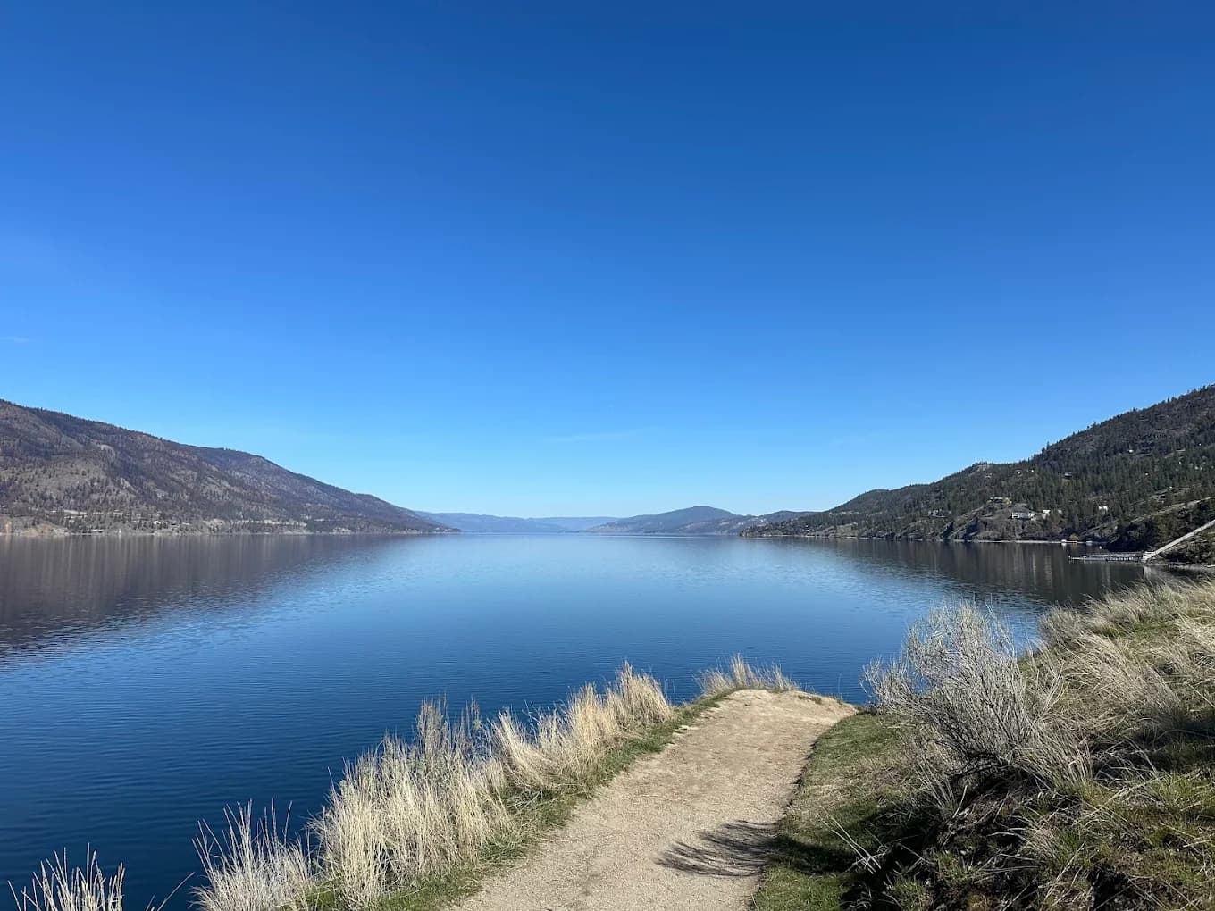 Knox Mountain Hiking Tour: Okanagan Lake Views & Wildflowers in Kelowna