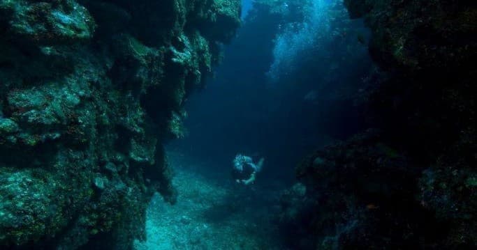 One Day Diving Adventure with Blue Adventures Diving Ltd in Chania