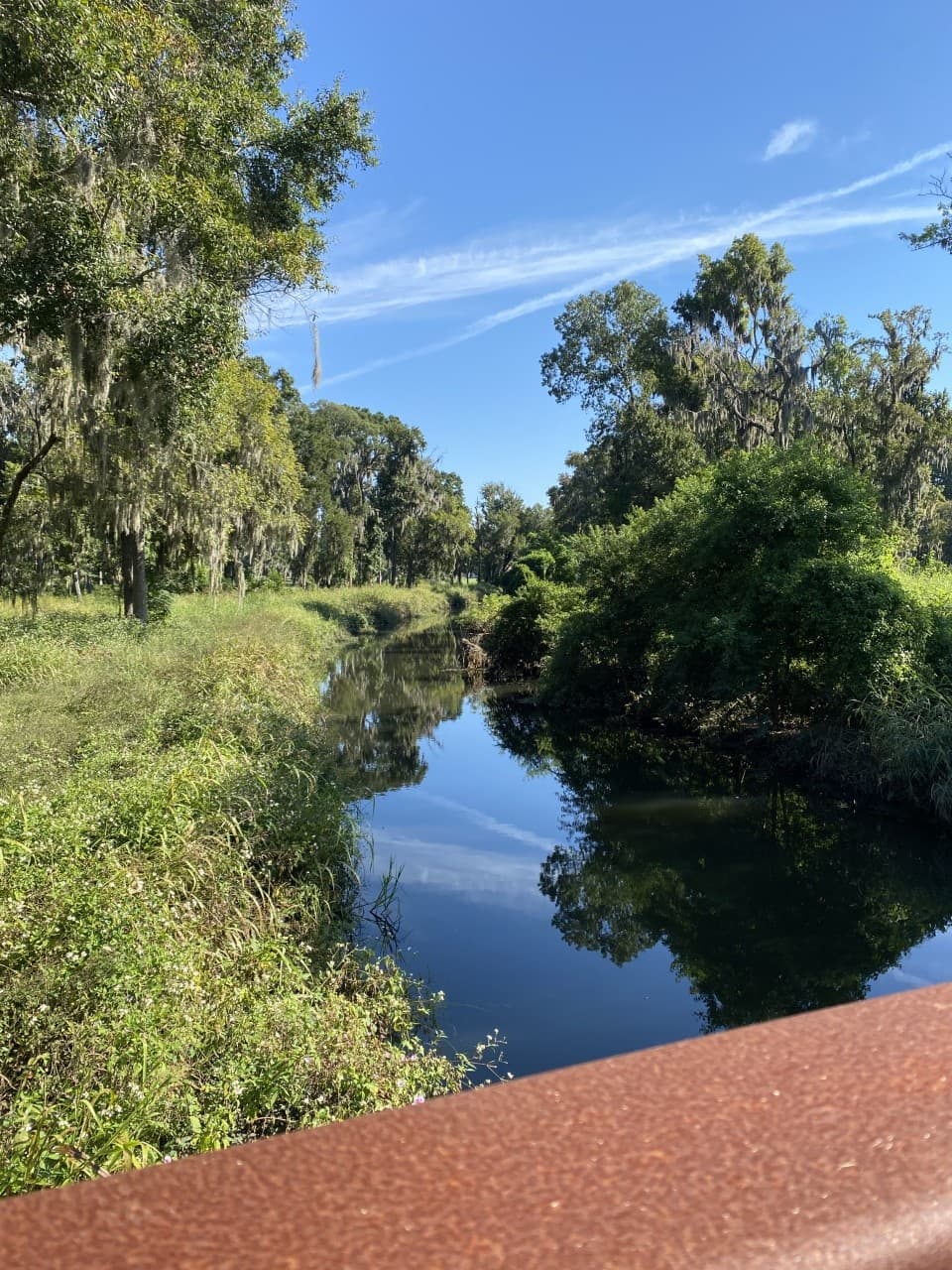 Bike The Landings in Savannah: Explore Georgia’s Premier Outdoor Pathways