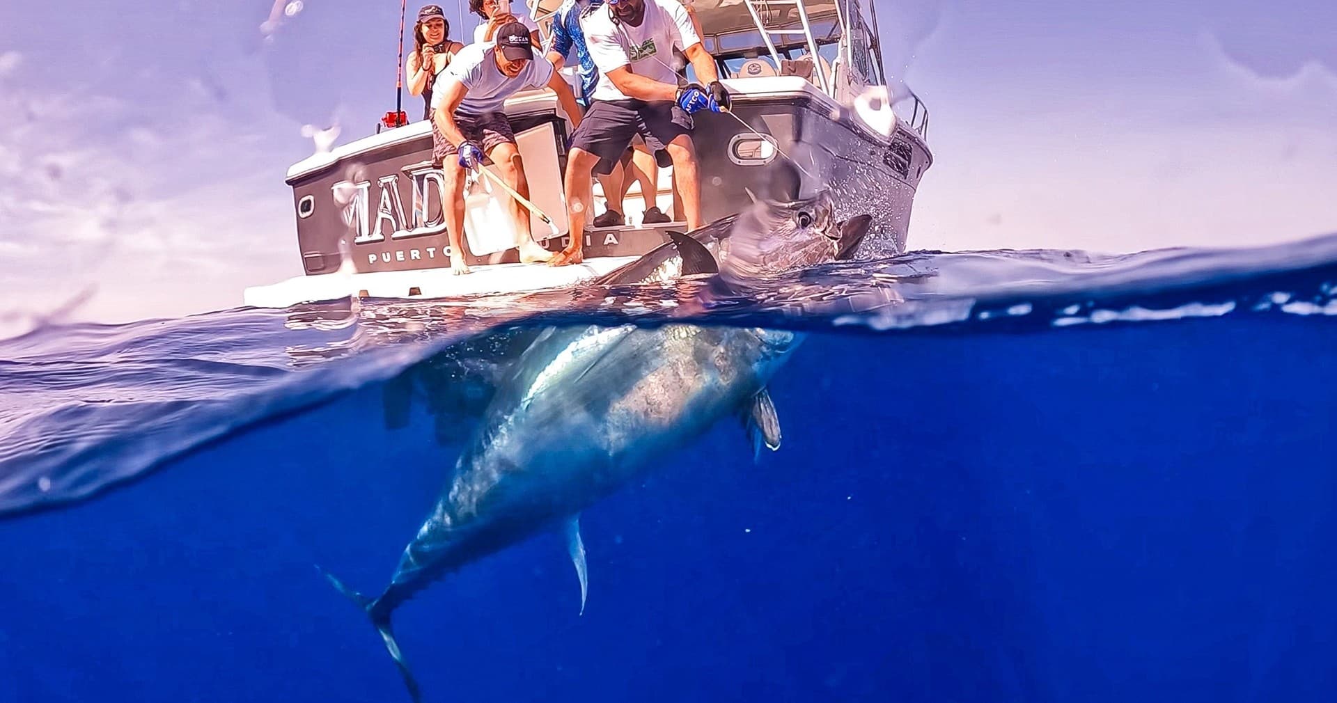 Hooking Giants: Bluefin Tuna Big Game Fishing From Port d'Alcúdia, Mallorca