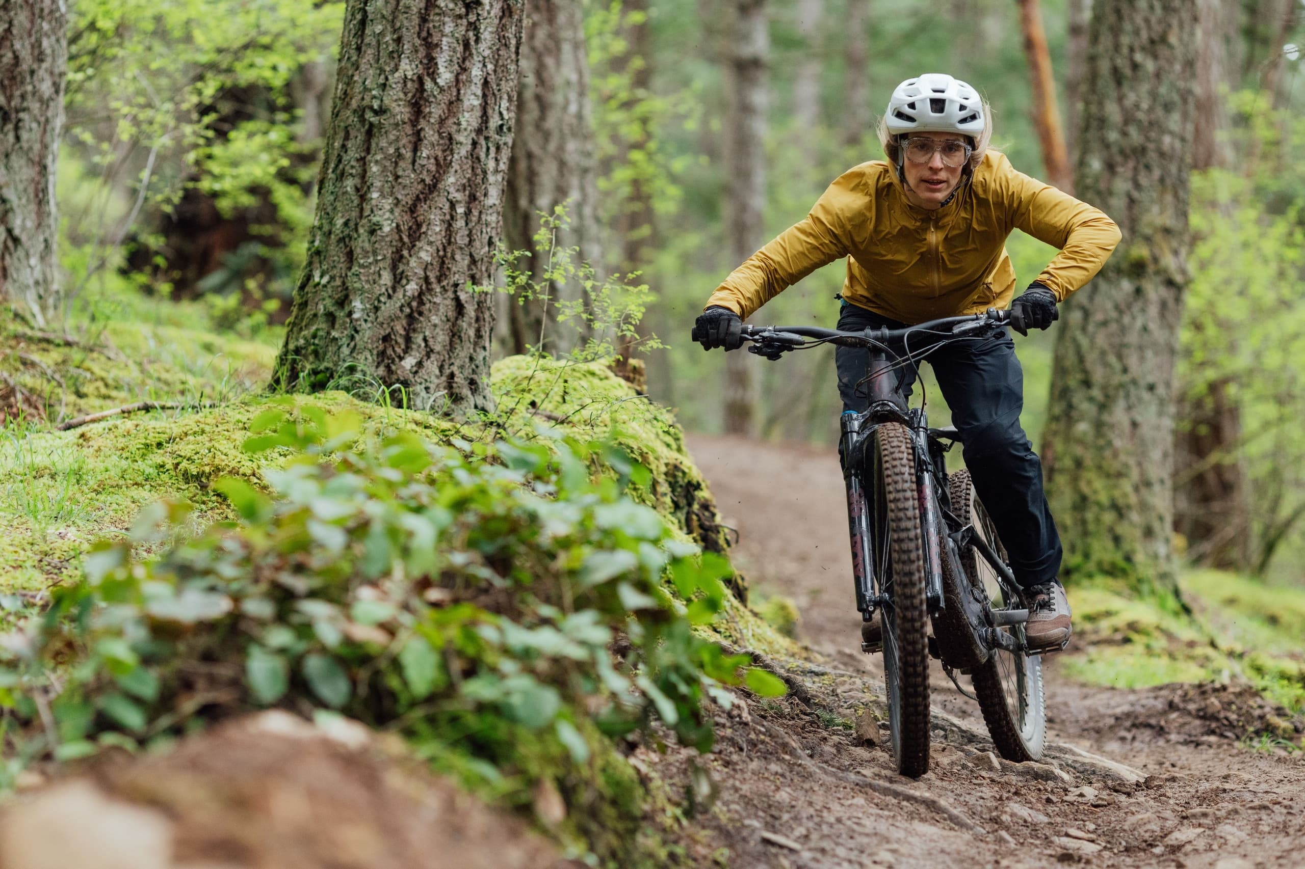 E-Bike Adventure with Ride Whitsunday in Cannon Valley