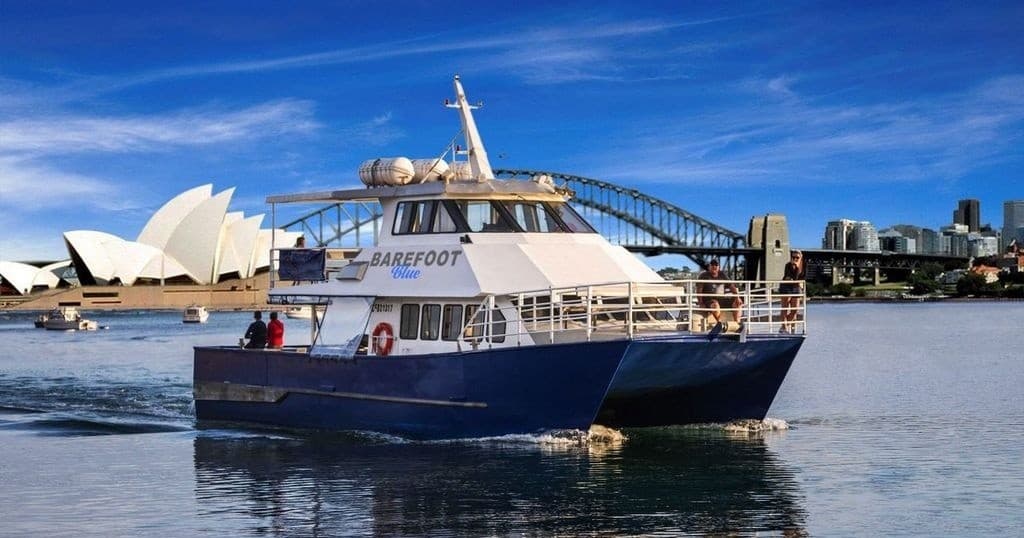 Barefoot Whale Watching Sydney fleet