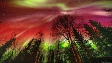 The Digital Frontier: Alaska Wildlife Photo Editing Workshop in Salcha