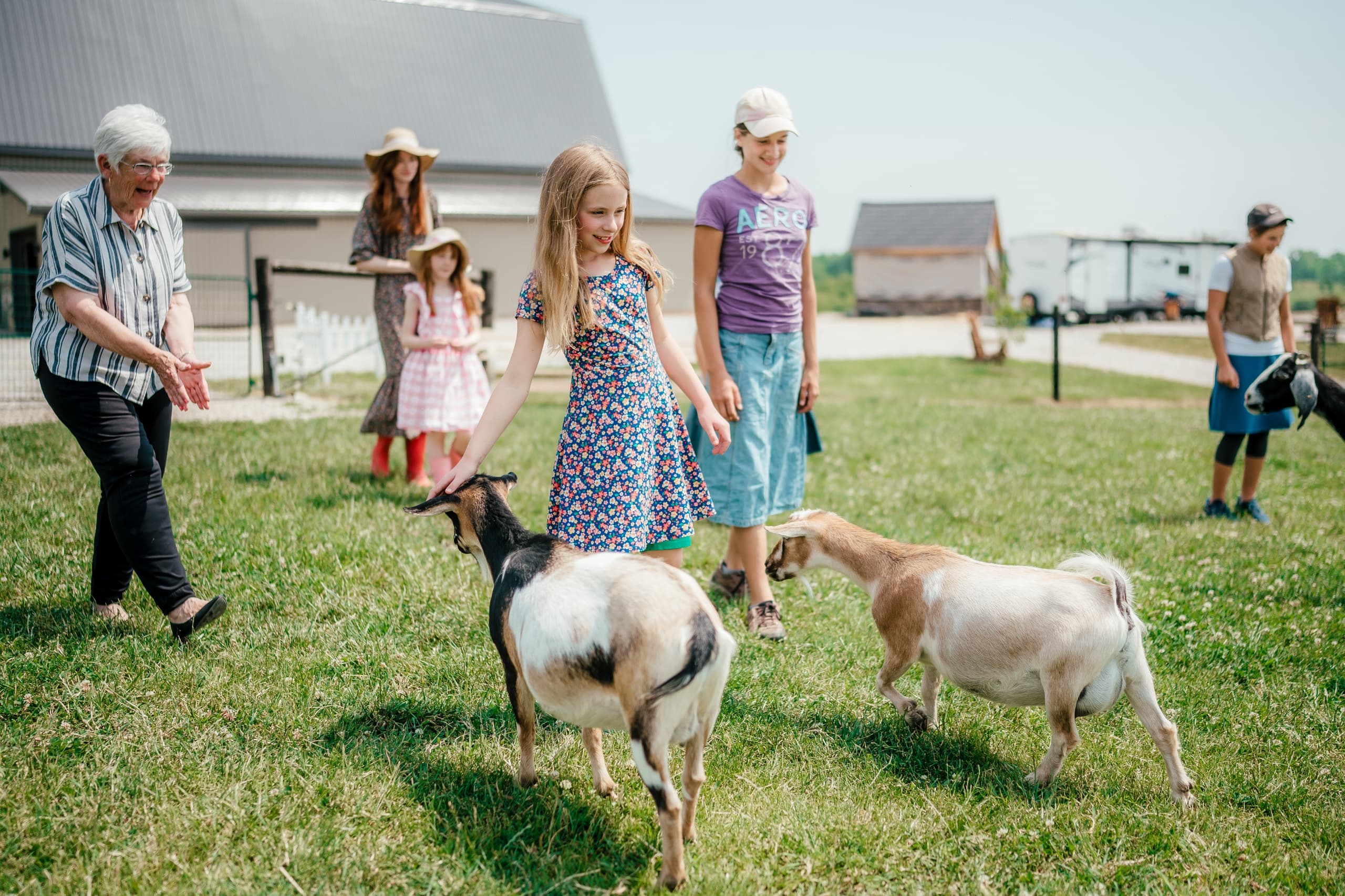 Children interacting with goats on family-friendly farm field