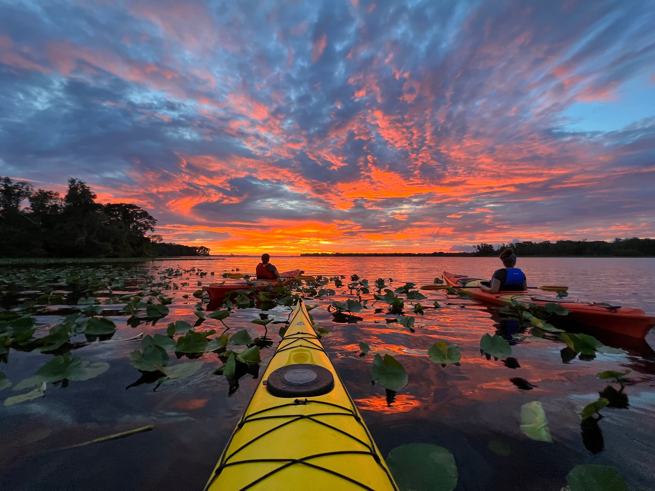 Kayak bow navigating lily-covered lake at vivid sunset