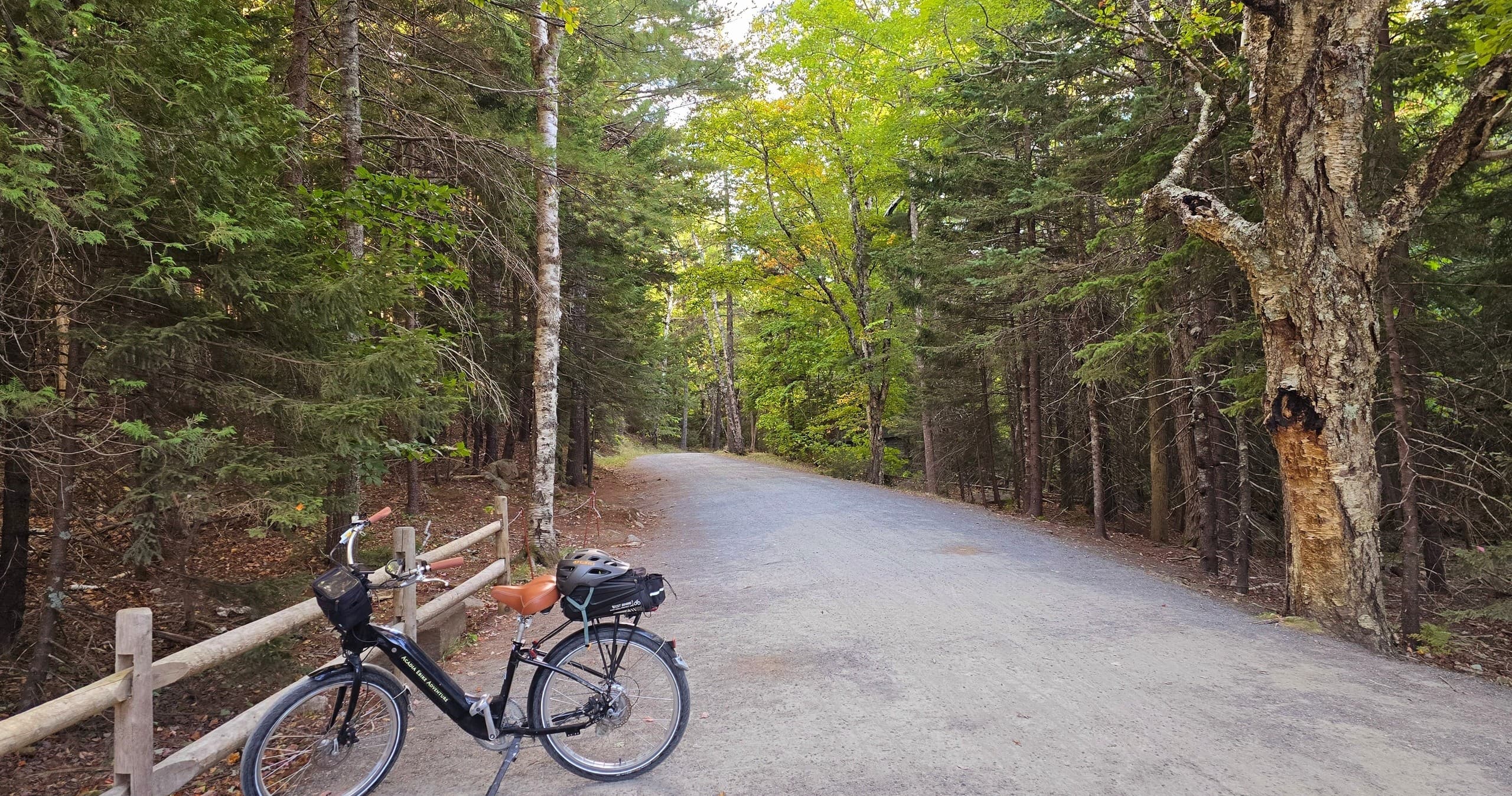 Afternoon Ebike Tour of Acadia’s Carriage Roads