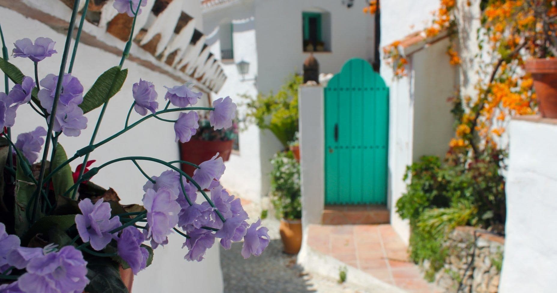 Cultural Hiking Trip: Frigiliana & El Acebuchal with Oletrips