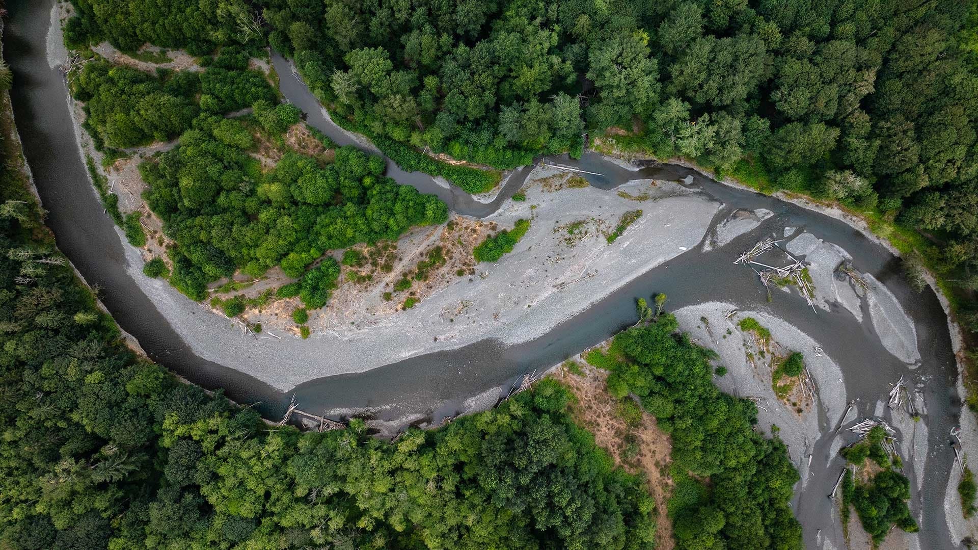 Guided Steelhead River Walk & Wade at Pacific Rover LLC on Olympic Peninsula