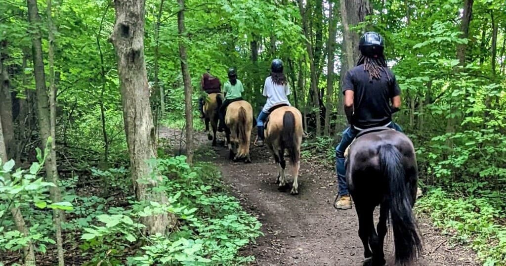 45-Minute Trail Rides Through Findlay's Paw-Paw Woods