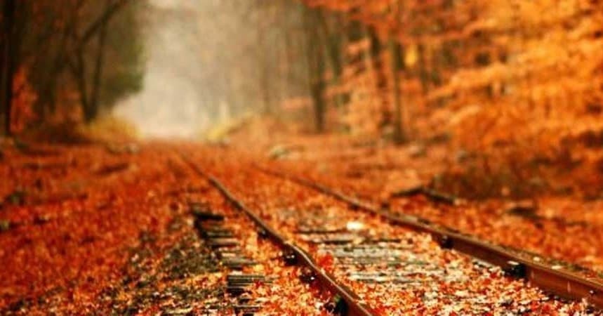 Fall Foliage Train Rides with Arcade and Attica Railroad