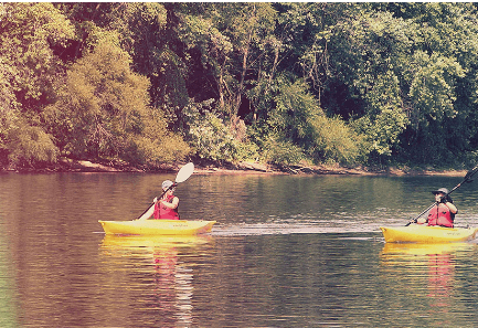 Paddle Sycamore Island: Guided Kayak Tour on the Allegheny River Near Verona, PA