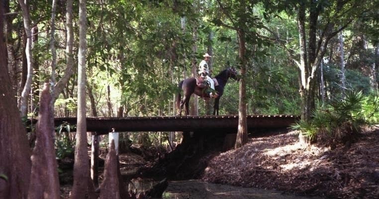 Equestrian crossing wooden bridge in Lake Louisa forest