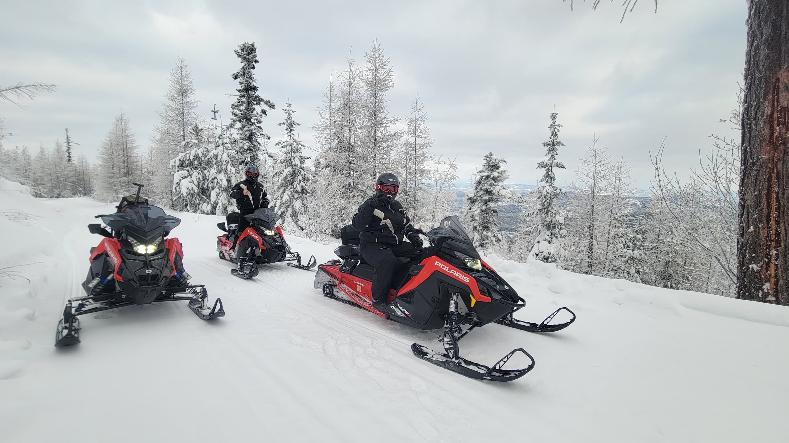 Thrilling Half-Day Snowmobile Adventure in Coeur d'Alene