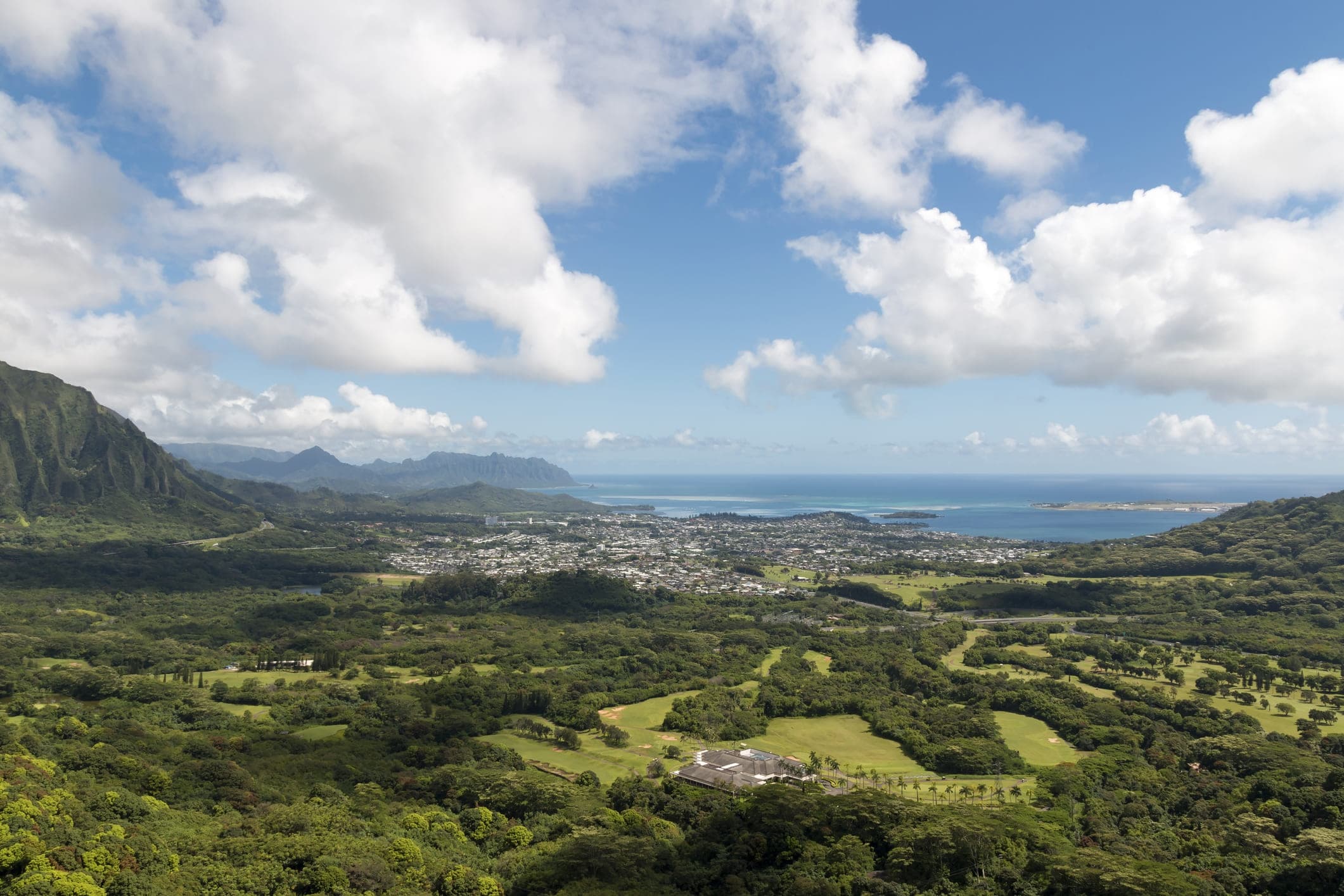 Land Adventures with Hawaii Viet Tours & Transportation