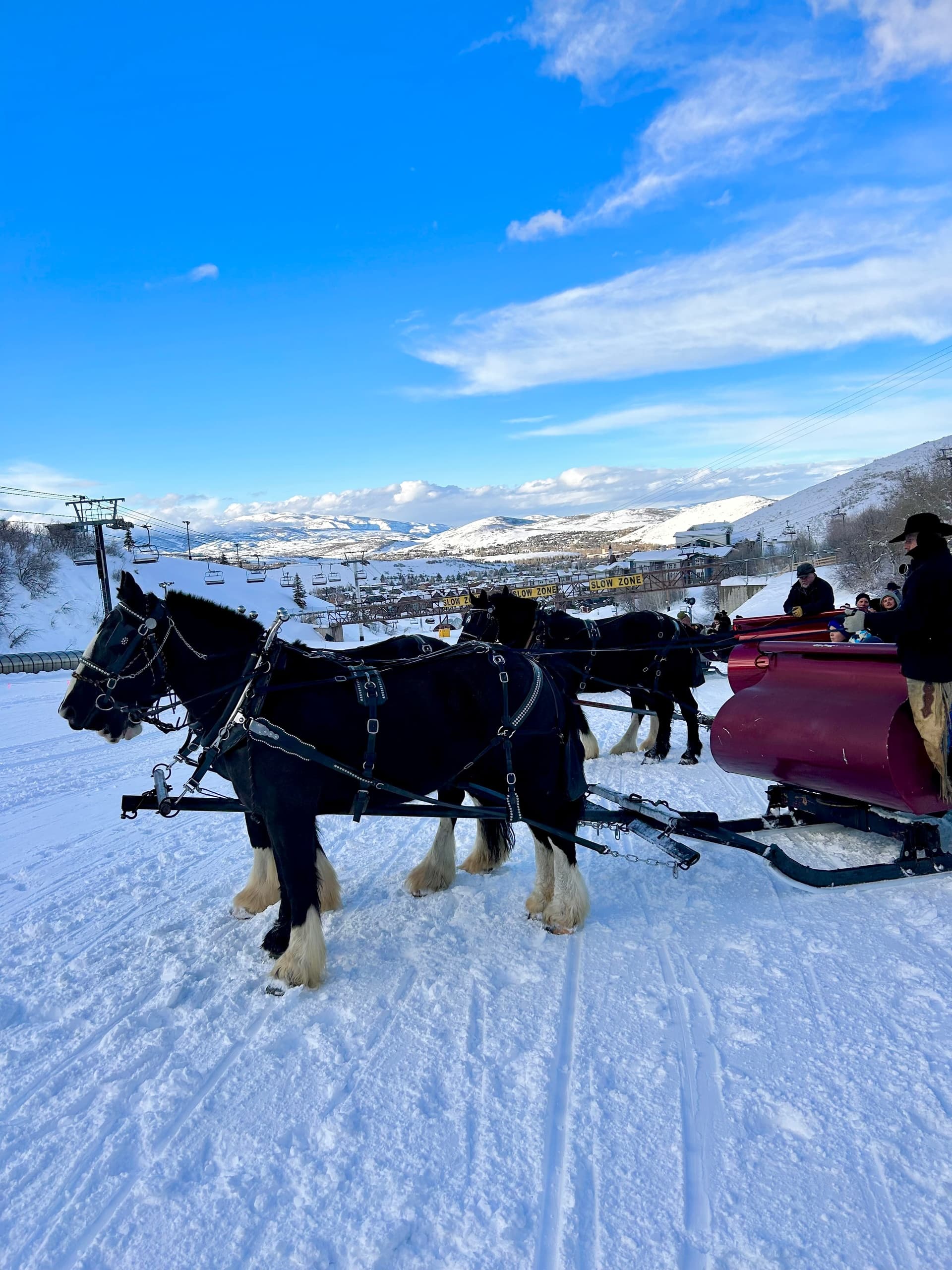 Magical Sleigh Ride Experience in Park City, Utah