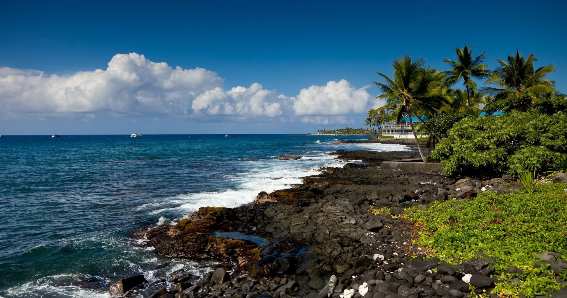 Hawaii Island Insider Tours fleet