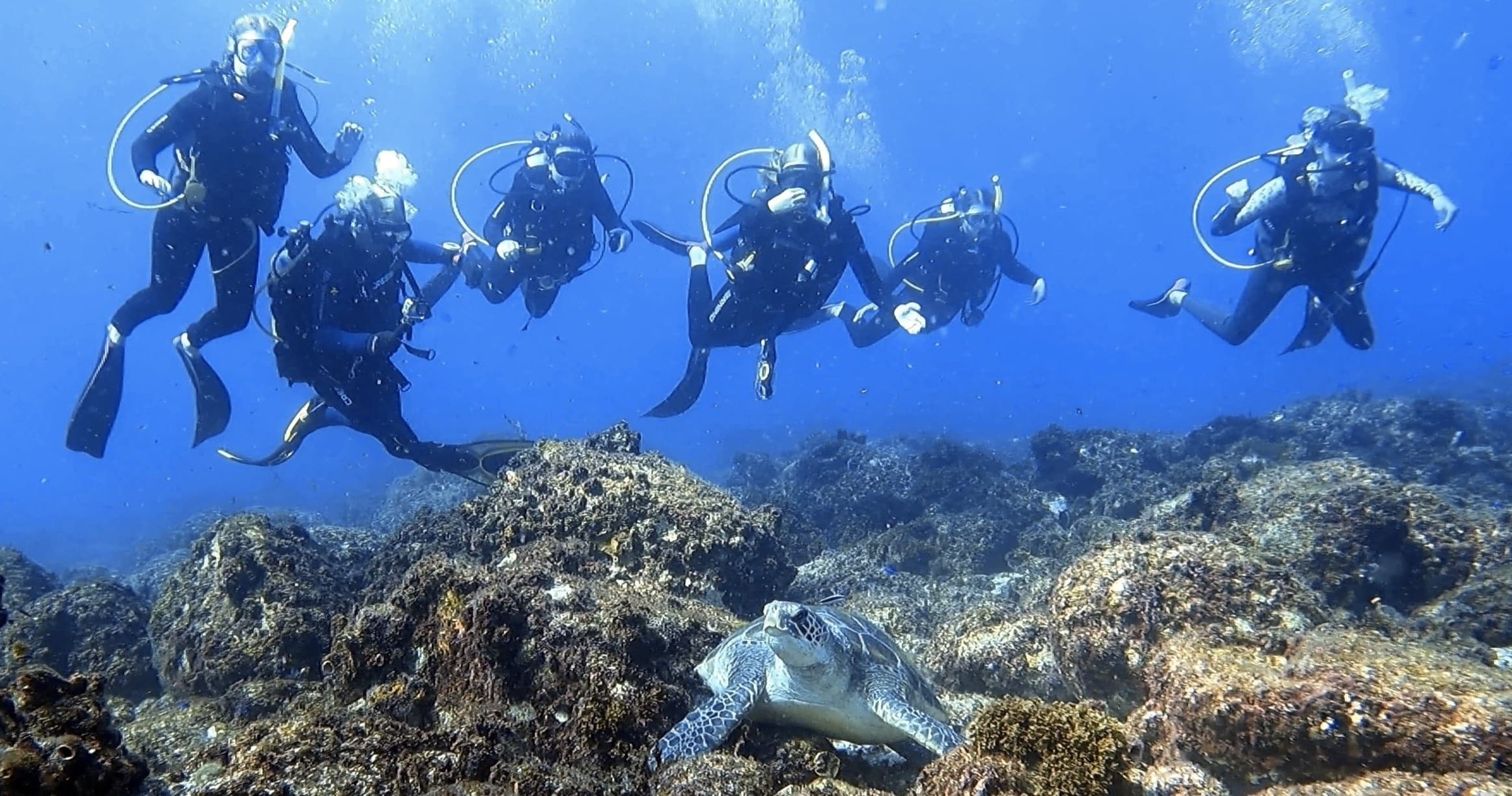 Dive into Adventure: PADI Open Water Scuba Diver Course at Solitary Islands Marine Park