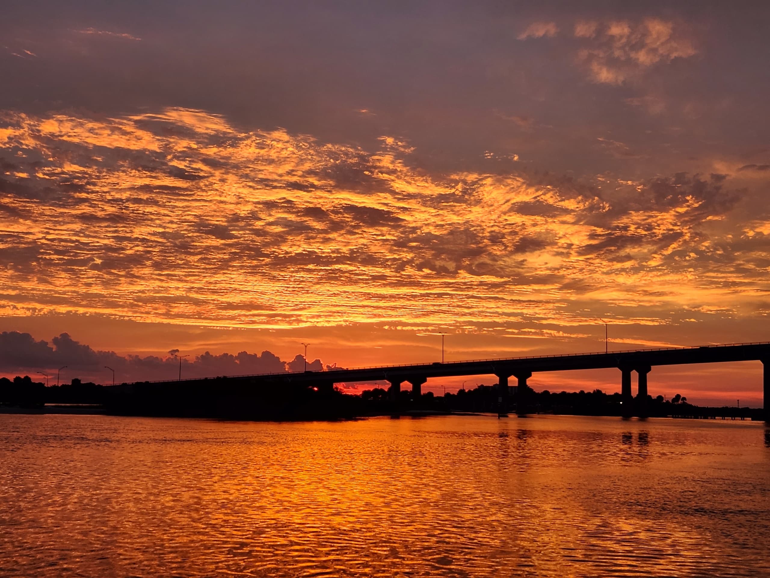 Sunset River Tour in Daytona Beach: Dolphin Encounters and Halifax River Views