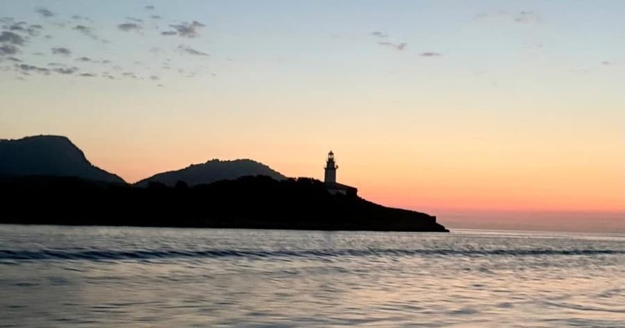 Wild Dolphin Exclusive: Semi-Private Dolphin Watching & Swim at Es Coll Baix, Alcudia photo 2