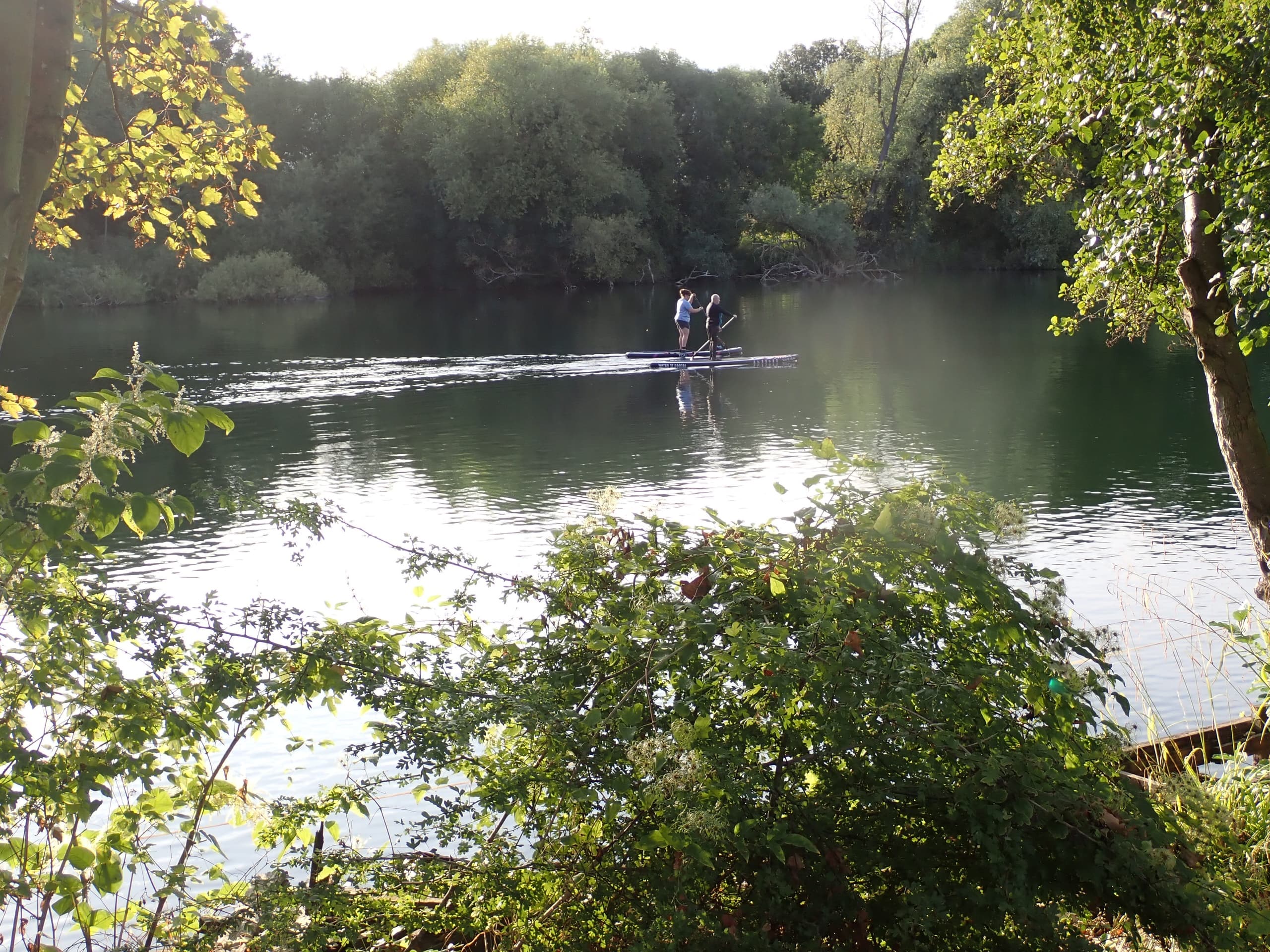 Paddleboarders gliding on tranquil tree-lined freshwater lake