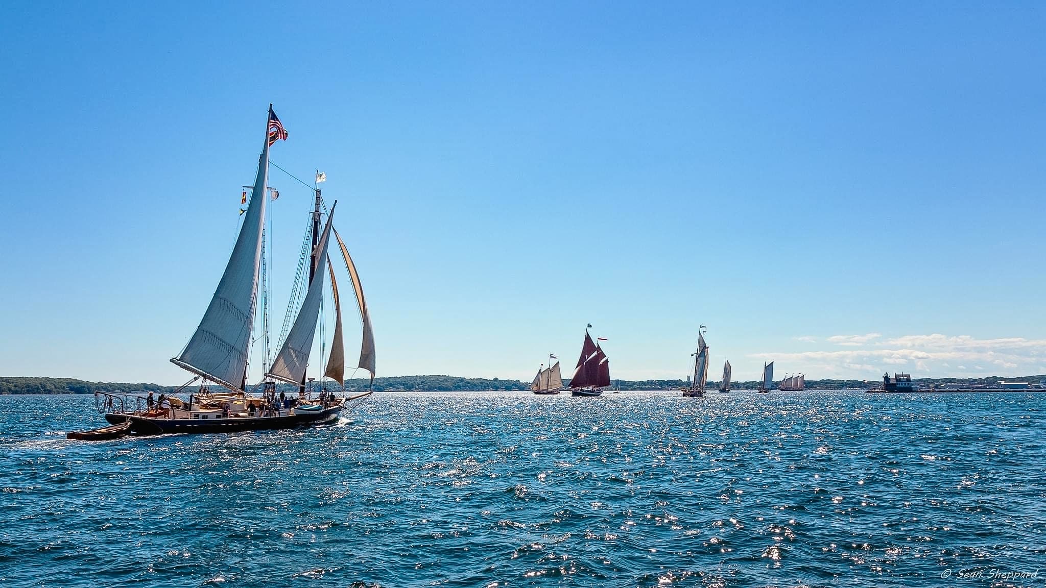 Classic schooners racing on open ocean near Maine islands