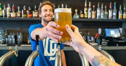 Charlottesville Wine & Brewery Tours with Norm's Transportation
