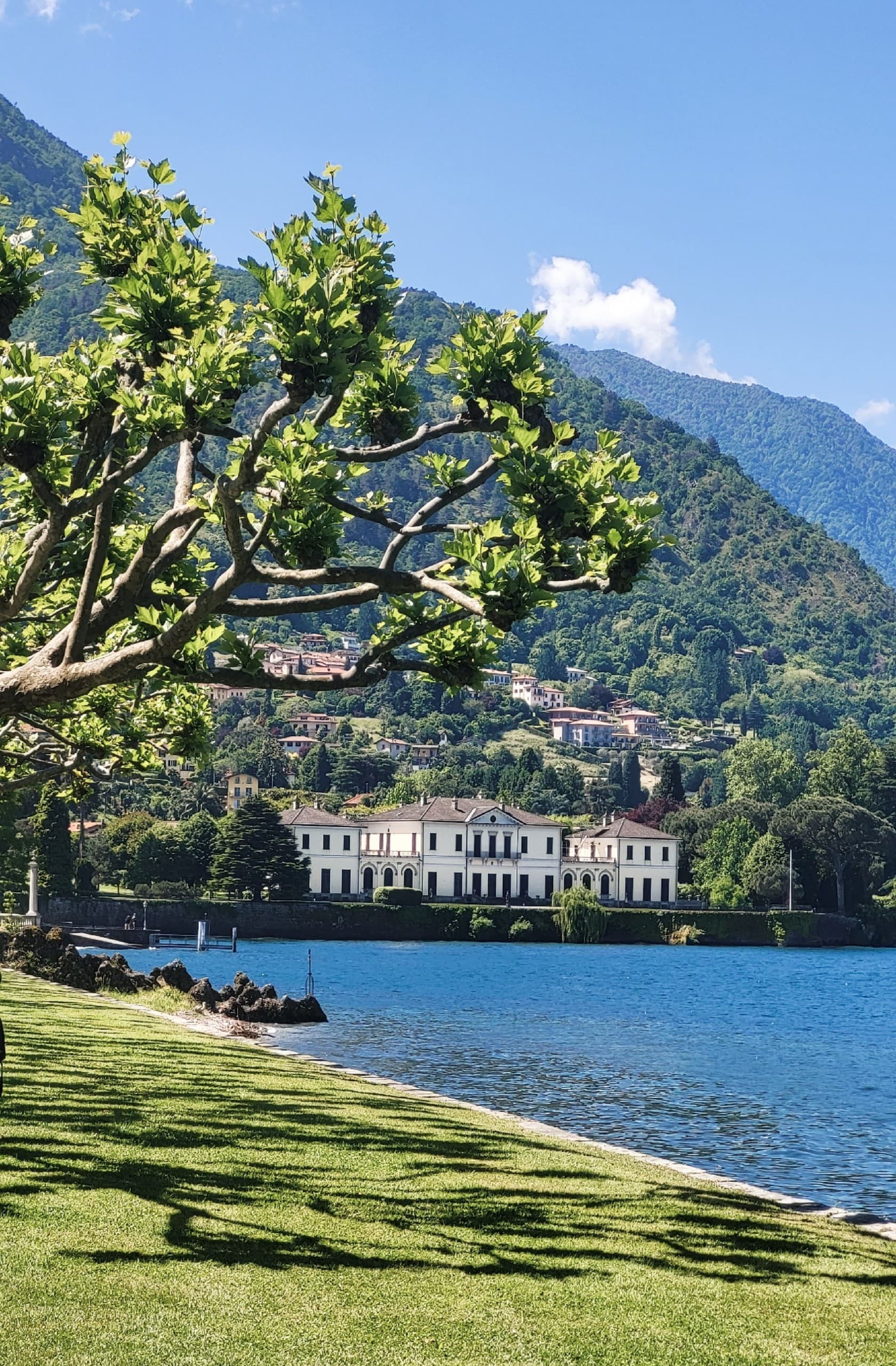 Lake Como villa cruise to Villa Melzi: Bellagio gardens & celebrity villas photo 2