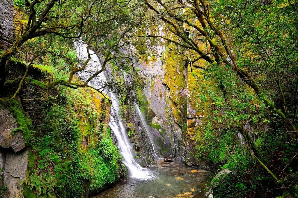 Hiking in Serra do Açor with Caminhada da Mata da Margaraça