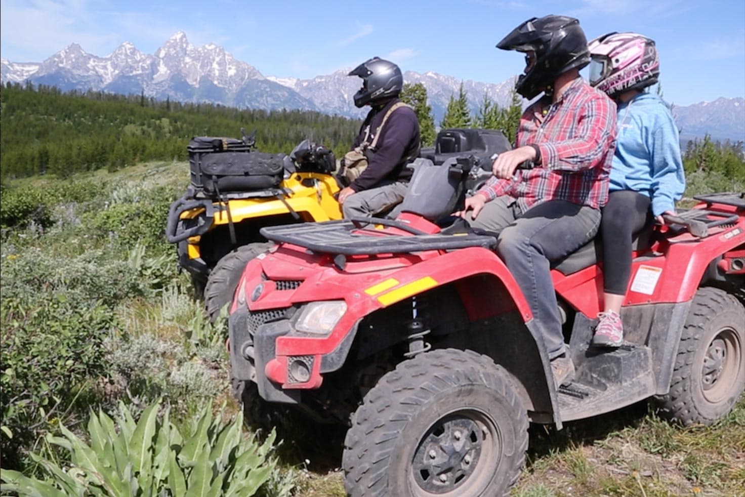 CLOSED - Scenic Safaris team