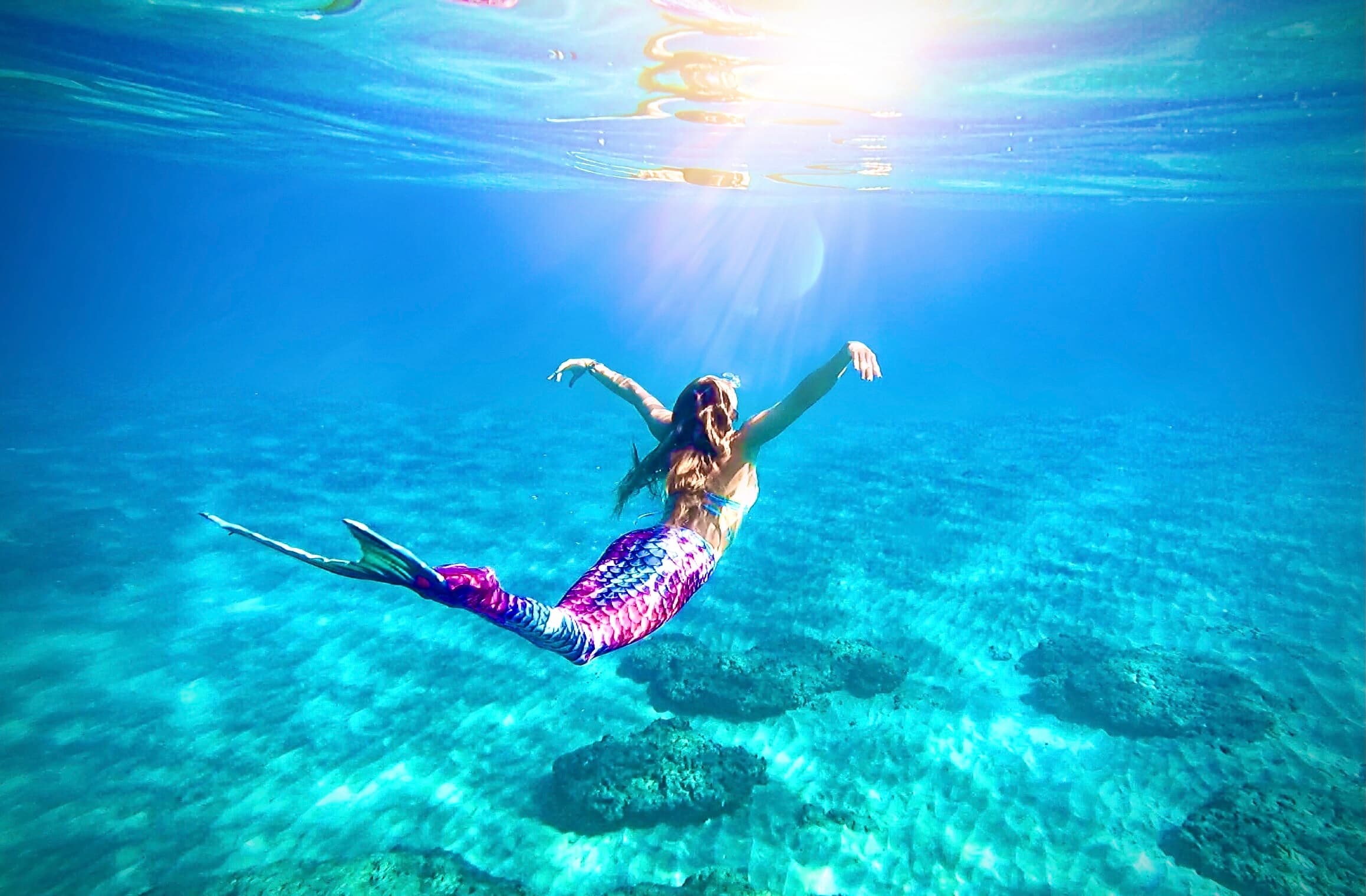 Maui Mermaid School team
