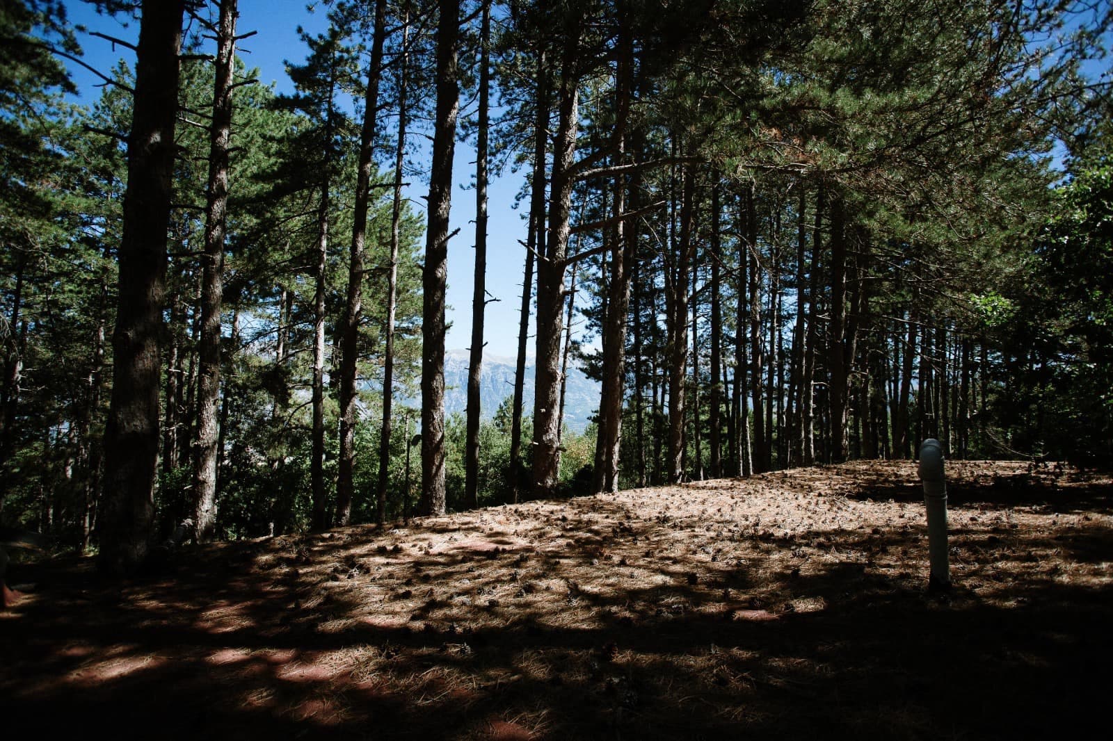 Hiking Adventure at Monte Plaja with Cooperativa Il Bosso