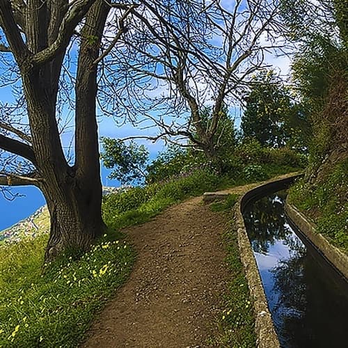 Serra d’Água Walks with Experiences Madeira