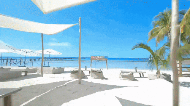 Amazonas Beach Club Albatros: Music & Fun on Isla Mujeres