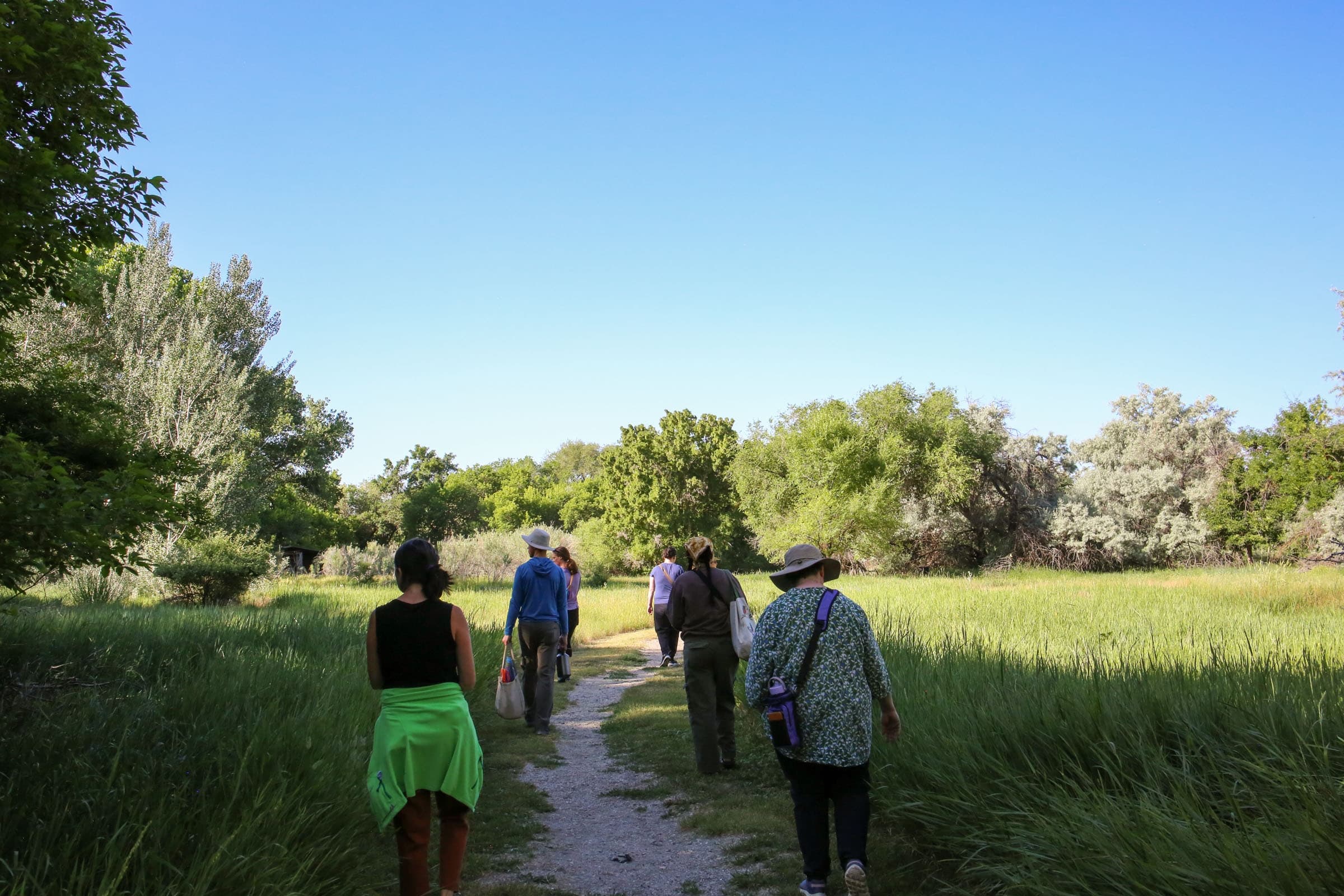 Forest Bathing at Ogden Nature Center: Mindful Morning with Ian Napper photo 2