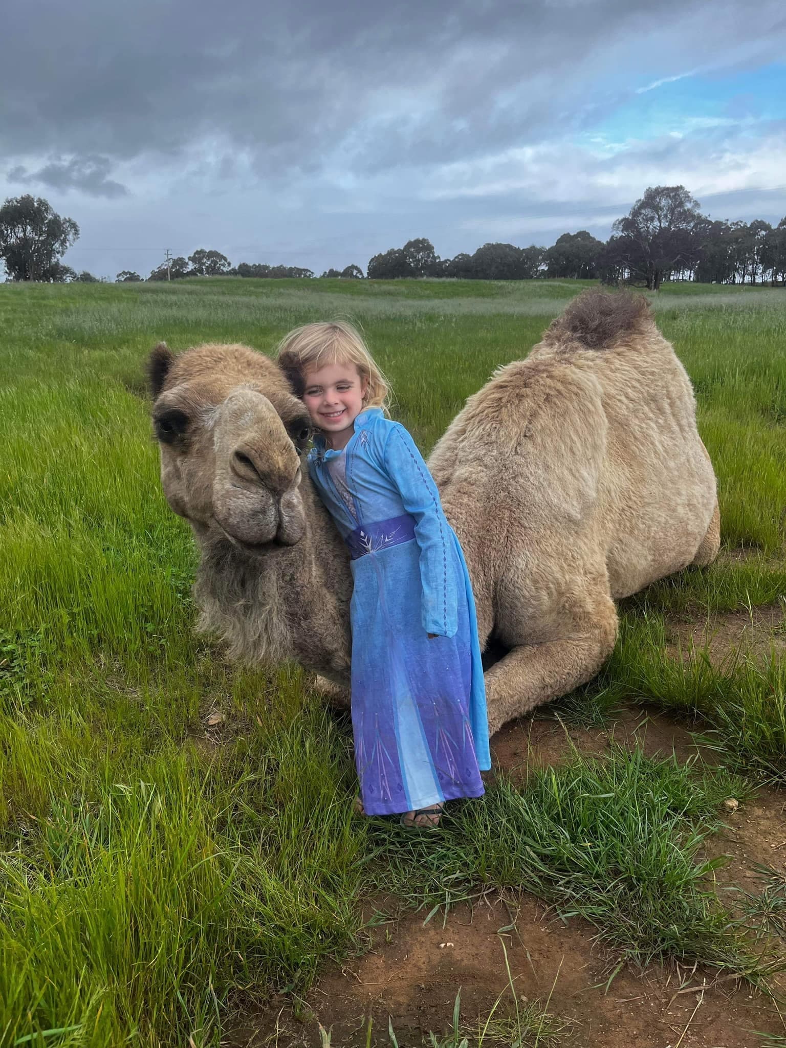 Wildlife & Farm Visits at Bushfield Farm