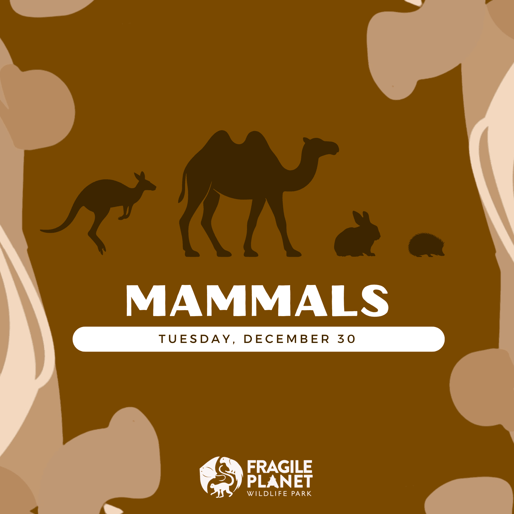 Mammals Day Camp for Kids in Los Fresnos, TX — Hands-On Wildlife Safari