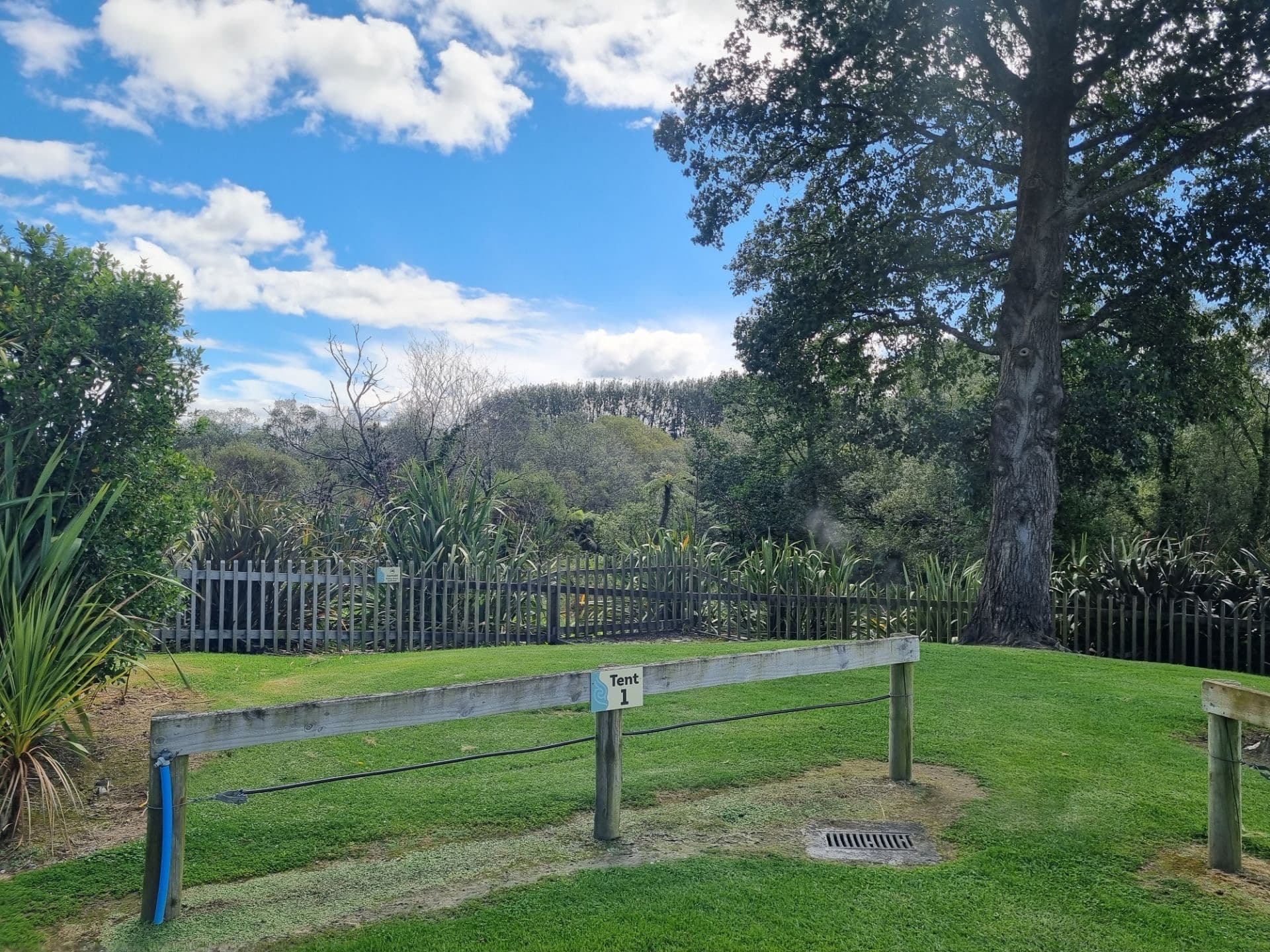 Camping & Hot Springs at Waikite Valley Hotpools
