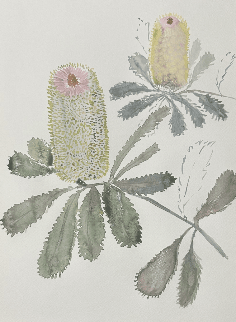Discover the Art of Native Flowers: Watercolour Workshop at Kotoda, Carrington