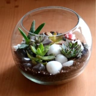 Indoor Gardening & Botanical Workshop at Rose Bridge Farm