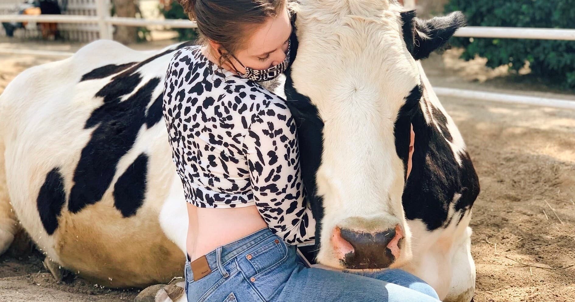 Heartwarming Animal Encounters in Santa Clarita