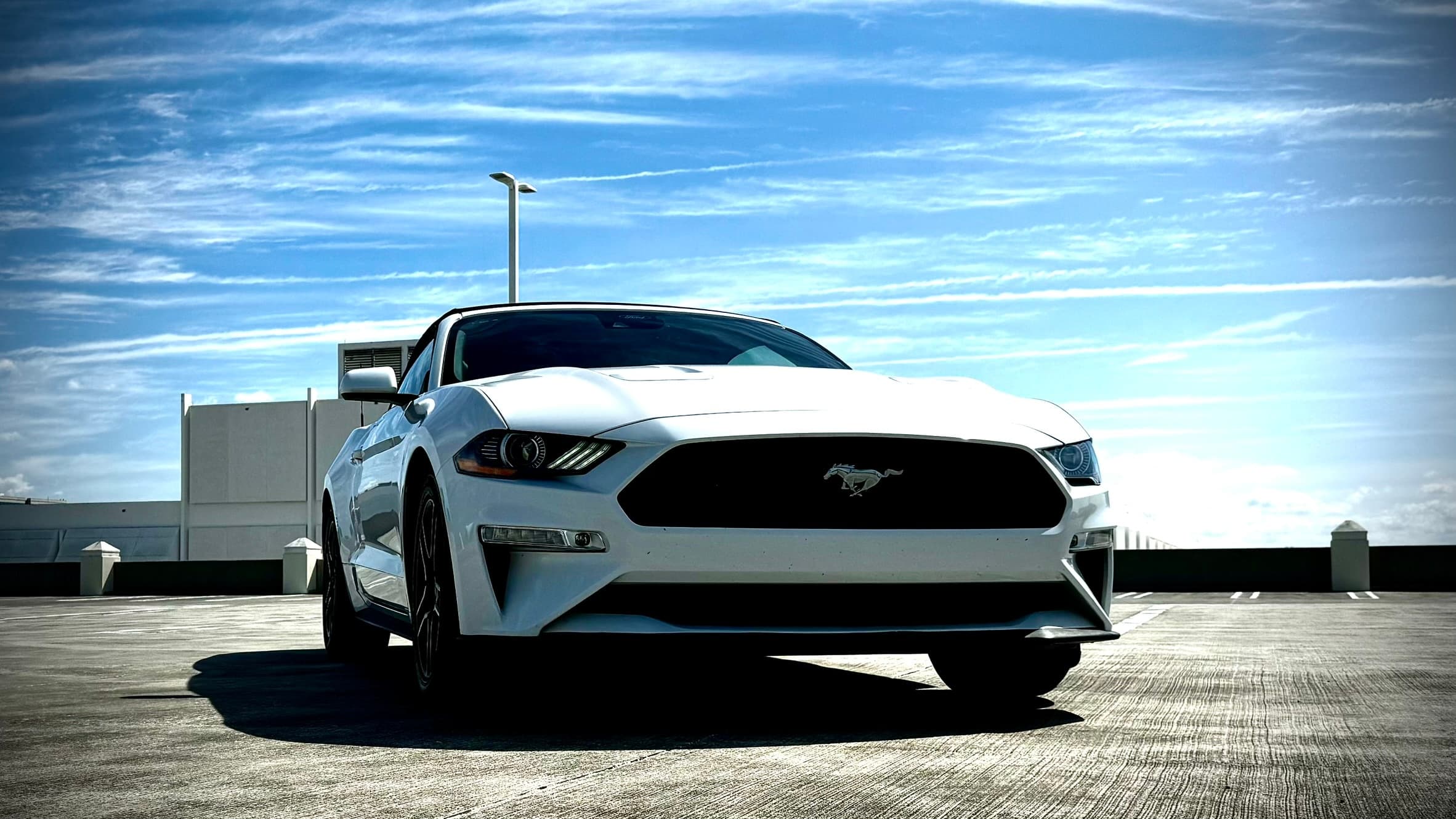 Drive the 2021 Ford Mustang Convertible with Top Car Share in Tampa