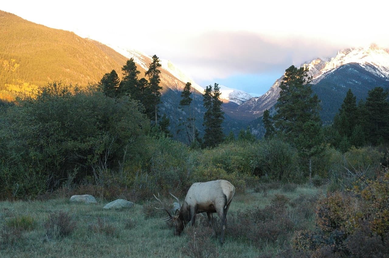 6 Day Private Rocky Mountain Tour from Denver, Colorado
