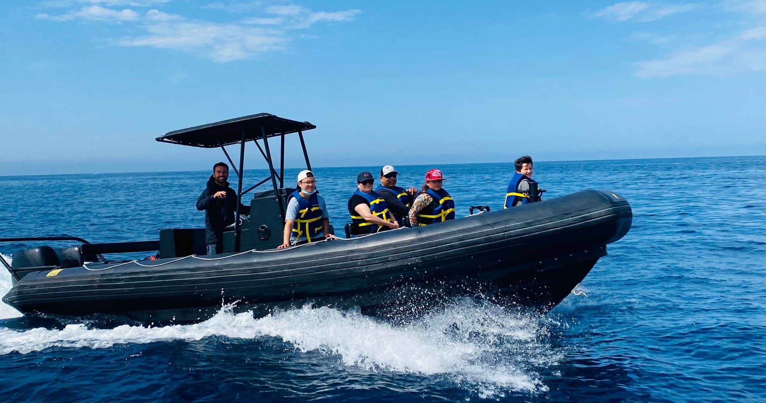 Explore Sea Lion Tour in Oceanside, California