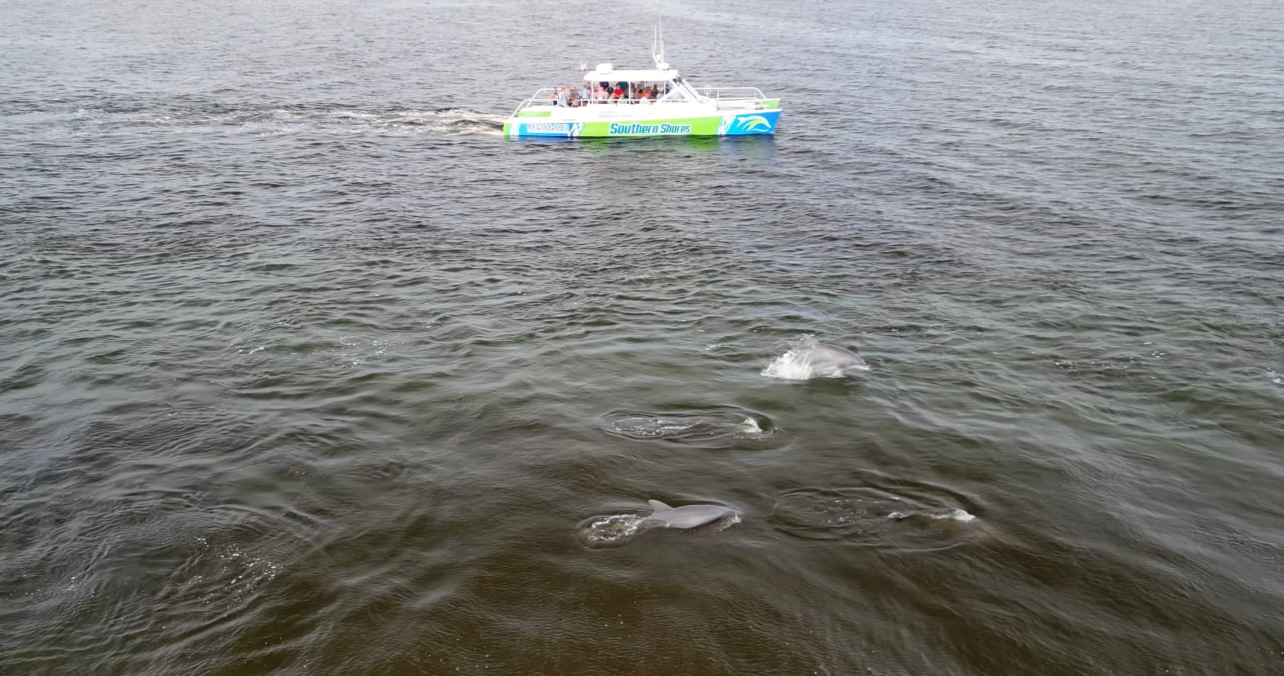 Catamaran Dolphin Cruise in North Myrtle Beach, SC