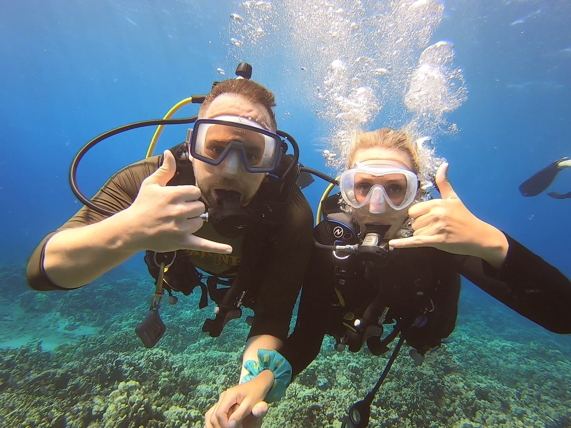 Black Rock Shore Dive: Explore Maui’s Underwater Lava Landscapes