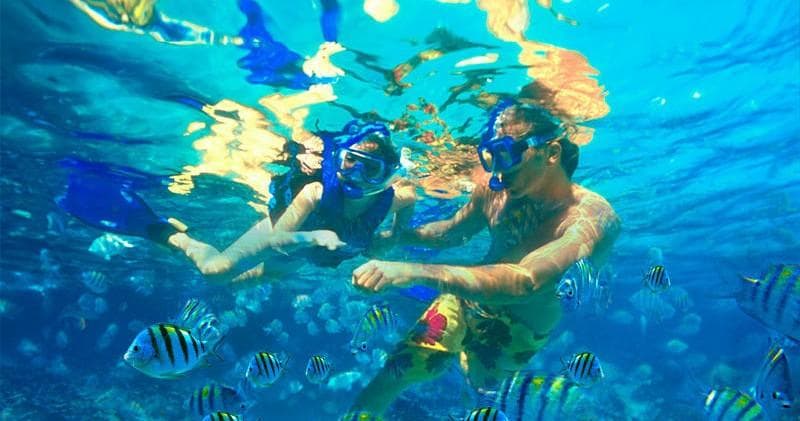 Water Activities & Snorkel Eco-Adventure at Los Arcos