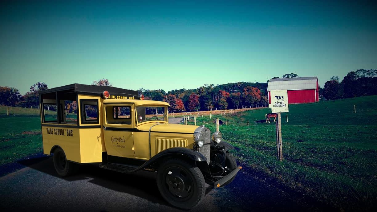 Discover Amish Culture on a Unique Strasburg Backroads Tour aboard Barney